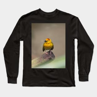 Taveta Golden Weaver Long Sleeve T-Shirt